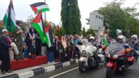 bela palestina (4)